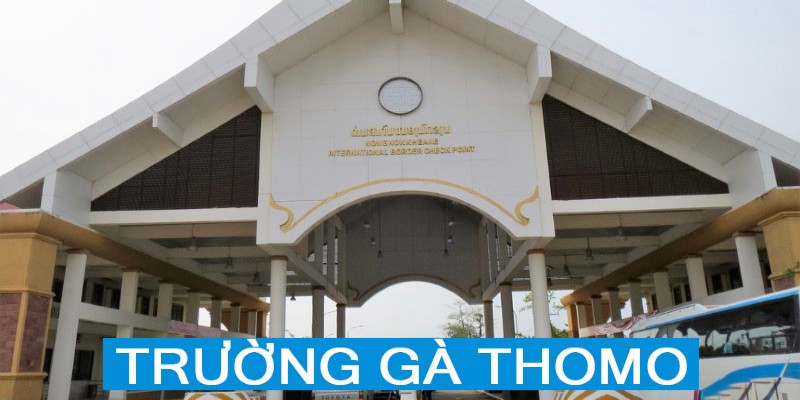 Thông tin cơ bản về trường gà Thomo nổi tiếng đình đám